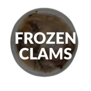 Clams - Salted Frozen