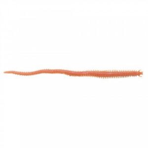Berkley Gulp - 6" Sandworm Natural - GSSW6-NAT