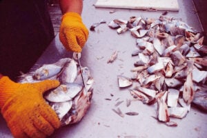 Butterfish Chunk Flat