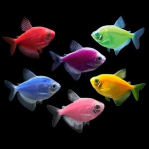 UFSHN - Tile Fish Glow Skirts - 5Hook Hi/Lo - 6/0 - UDD5S