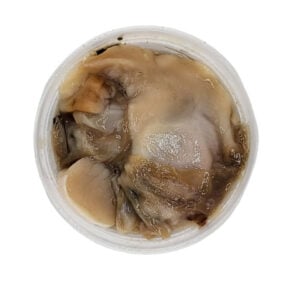 Fresh Salted Clam - Pint