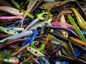 Local Spearing - 1LB Packs - (BAIT)