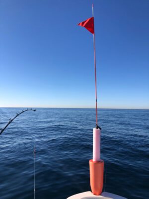 Swordfish Buoy