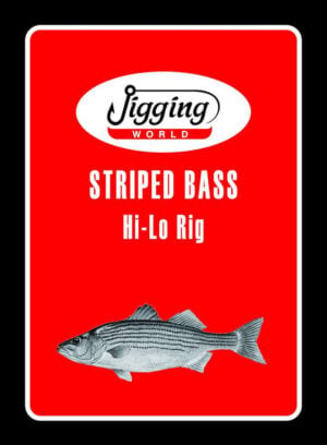 Jigging World Striped Bass Hi/Lo 6/0 In-Line Circle