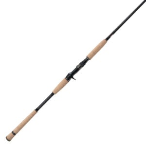 Jigging World - Night Ranger Casting Rod - JW-NR761C-H