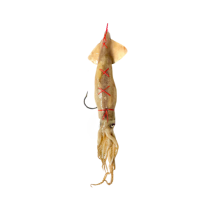 Fully Rigged Swordfish Squid