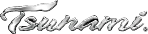 Tsunami